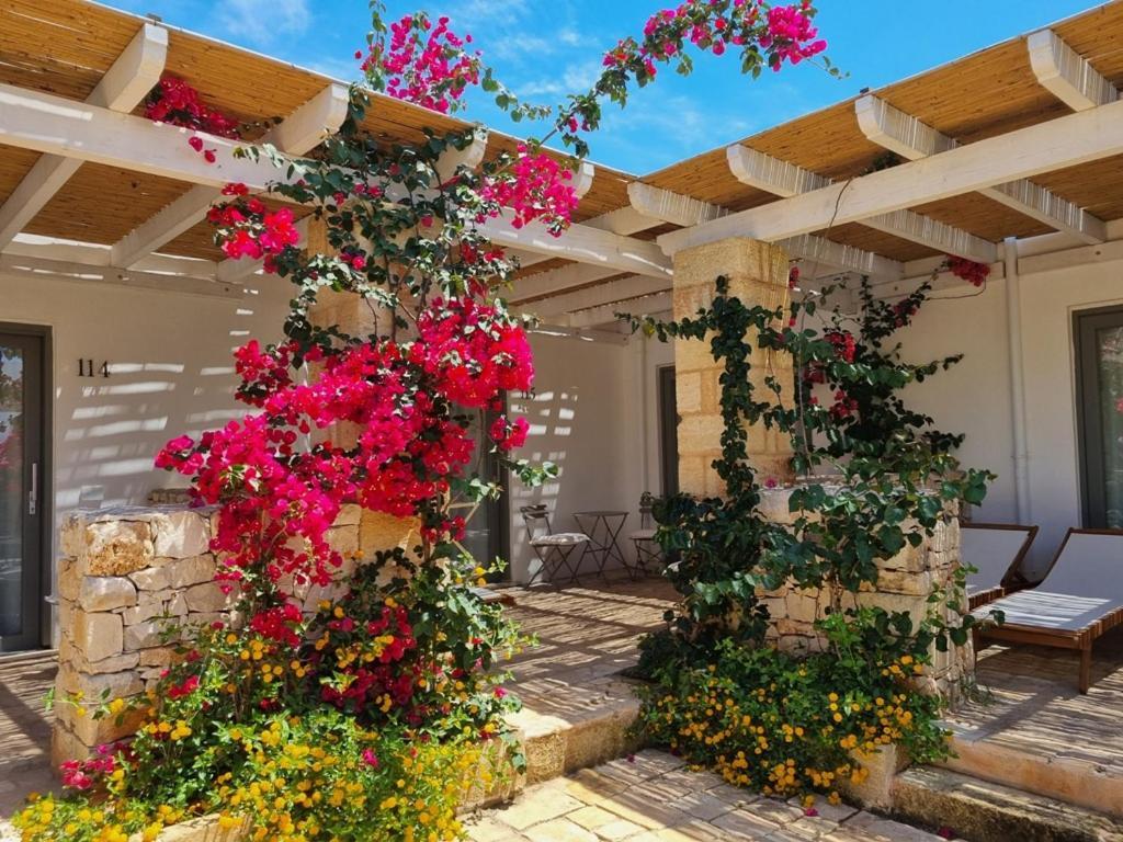 Masseria Baroni Di Montesardo Lido Marini Εξωτερικό φωτογραφία